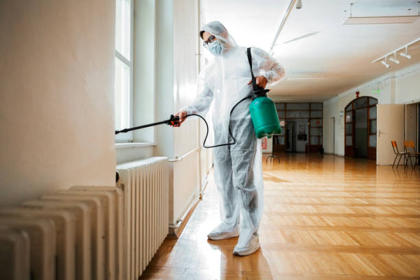 Best Pest Prevention Services  in Millers Falls, MA